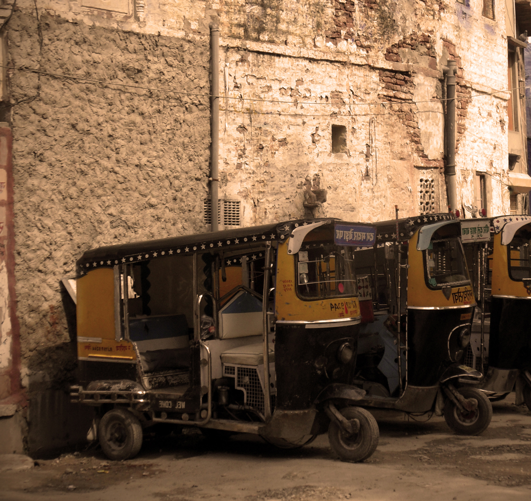 Keoladeo Rikshaw Safari